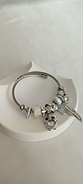 Çelik Silver Zirkon Taş Baykuş  Detay Pandora