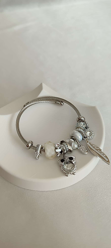 Çelik Silver Zirkon Taş Baykuş  Detay Pandora